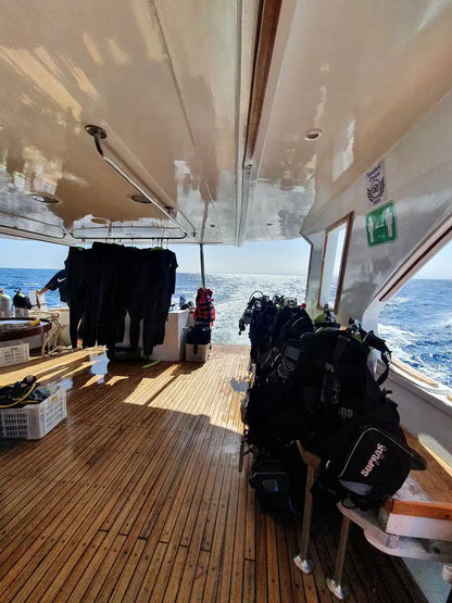 赫尔格达：红海潜水之旅（适合初学者和持证潜水员）