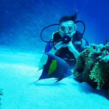 赫尔格达：红海潜水之旅（适合初学者和持证潜水员）