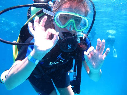 赫尔格达：红海潜水之旅（适合初学者和持证潜水员）