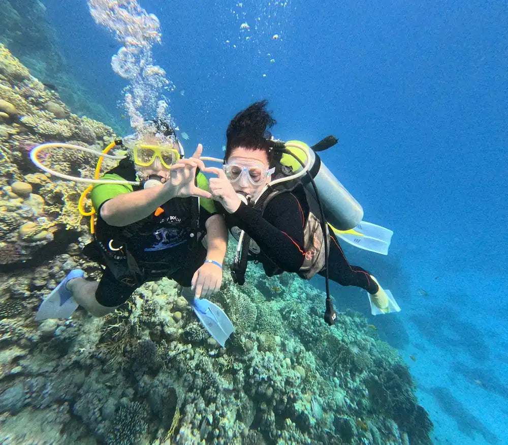 赫尔格达：红海潜水之旅（适合初学者和持证潜水员）