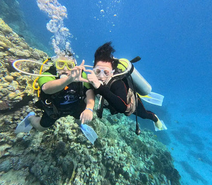 赫尔格达：红海潜水之旅（适合初学者和持证潜水员）