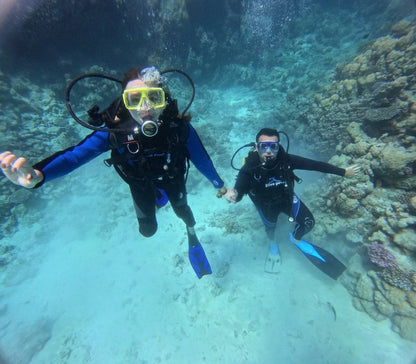 赫尔格达：红海潜水之旅（适合初学者和持证潜水员）