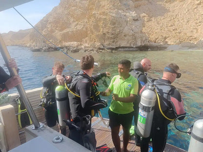 赫尔格达：红海潜水之旅（适合初学者和持证潜水员）