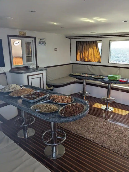 赫尔格达：红海潜水之旅（适合初学者和持证潜水员）