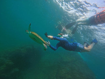 Dubai: Giornata Intera di Prova di Immersione e Snorkeling a Fujairah con Pranzo BBQ