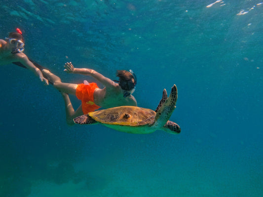 Dubai: experiência de mergulho e snorkel de dia inteiro em Fujairah com almoço com churrasco