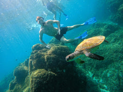 Dubai: Giornata Intera di Prova di Immersione e Snorkeling a Fujairah con Pranzo BBQ