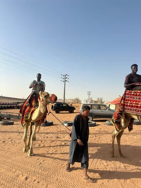 Riyadh: Red Sand Dunes Desert Tour with Camel and Quad Rides