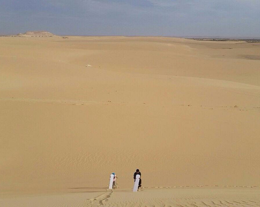 Siwa: begeleide 4x4-safaritour met dune bashing en sterrenkijken