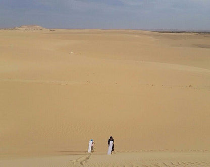 Siwa: begeleide 4x4-safaritour met dune bashing en sterrenkijken