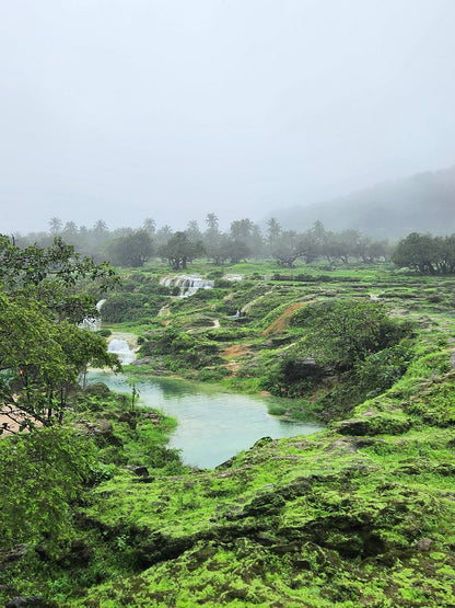 Salalah: East Coast Highlights Tour to Wadi Darbat Waterfalls and Jabal Samhan Mountain