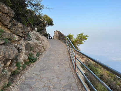 Salalah: East Coast Highlights Tour to Wadi Darbat Waterfalls and Jabal Samhan Mountain