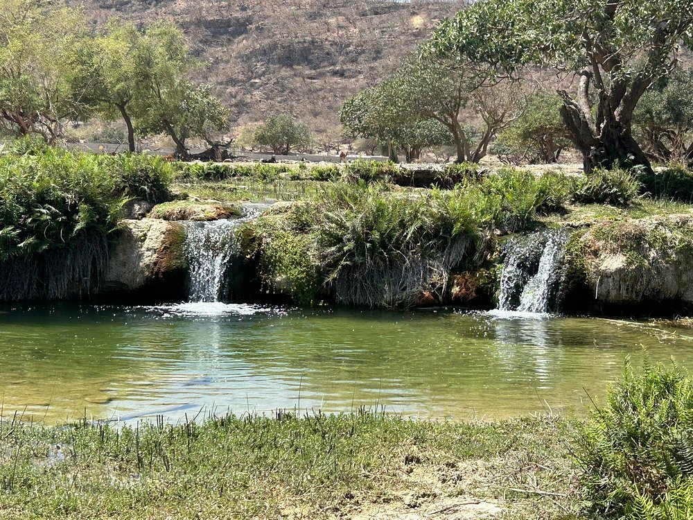 Salalah: East Coast Highlights Tour to Wadi Darbat Waterfalls and Jabal Samhan Mountain