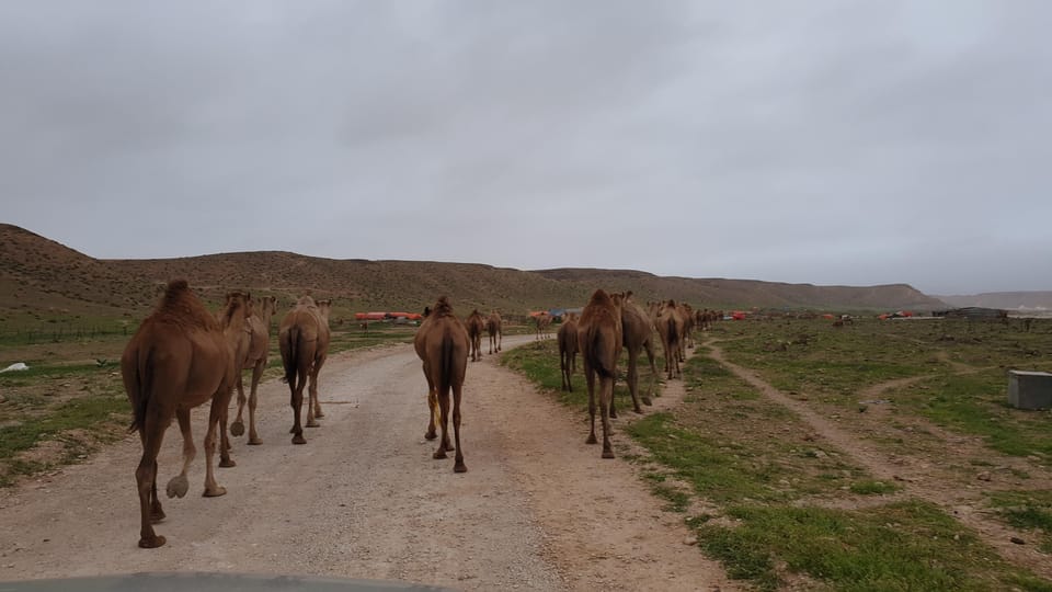 Salalah: Fazayah, Mughsail Beaches and City Tour with Prophet Job’s Tomb Visit
