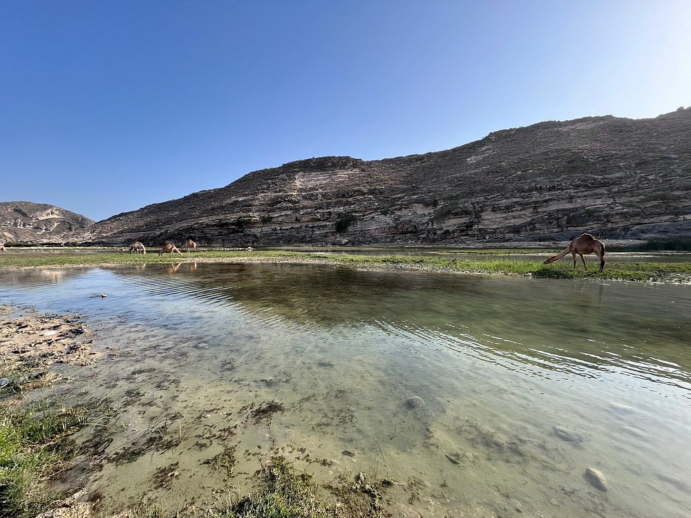 Salalah: Fazayah, Mughsail Beaches and City Tour with Prophet Job’s Tomb Visit