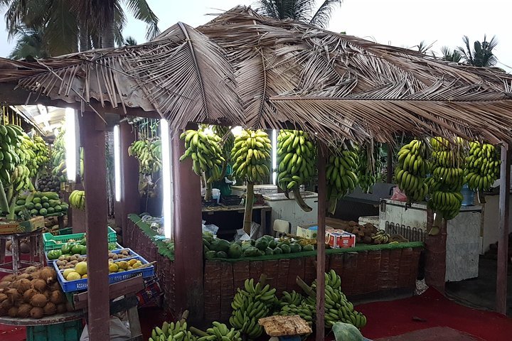 Salalah: Half - Day City Landmarks, Mountains, and Beach Private Guided Tour