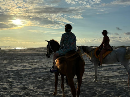 Salalah: Horse Riding on the Beach with Sunset Views