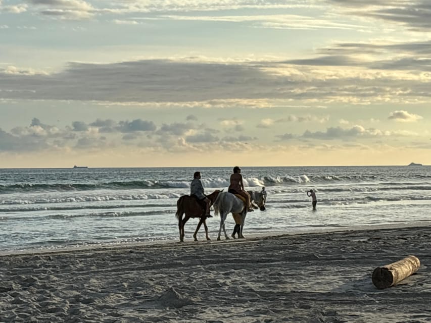 Salalah: Horse Riding on the Beach with Sunset Views