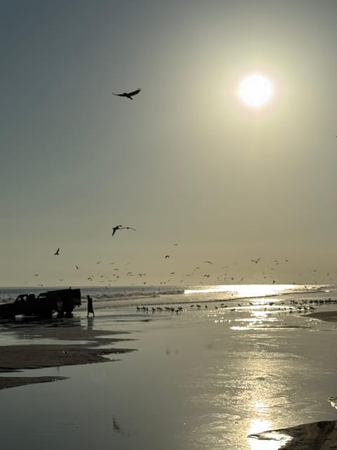 Salalah: Horse Riding on the Beach with Sunset Views
