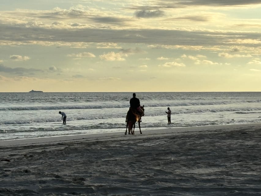 Salalah: Horse Riding on the Beach with Sunset Views