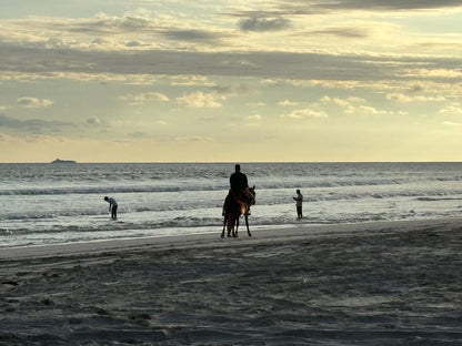 Salalah: Horse Riding on the Beach with Sunset Views