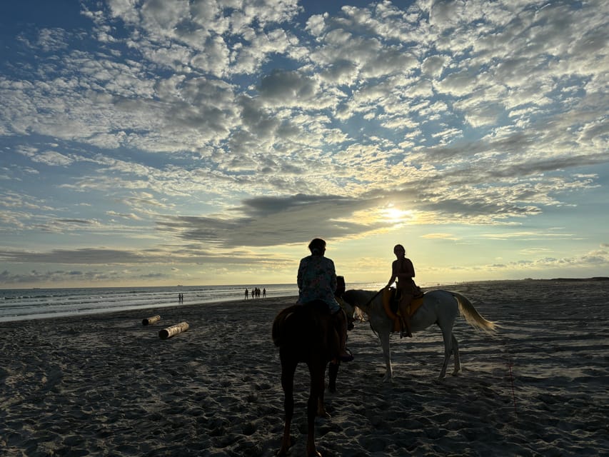 Salalah: Horse Riding on the Beach with Sunset Views