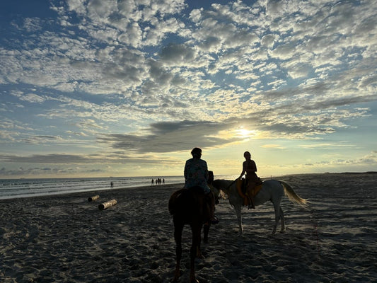 Salalah: Horse Riding on the Beach with Sunset Views