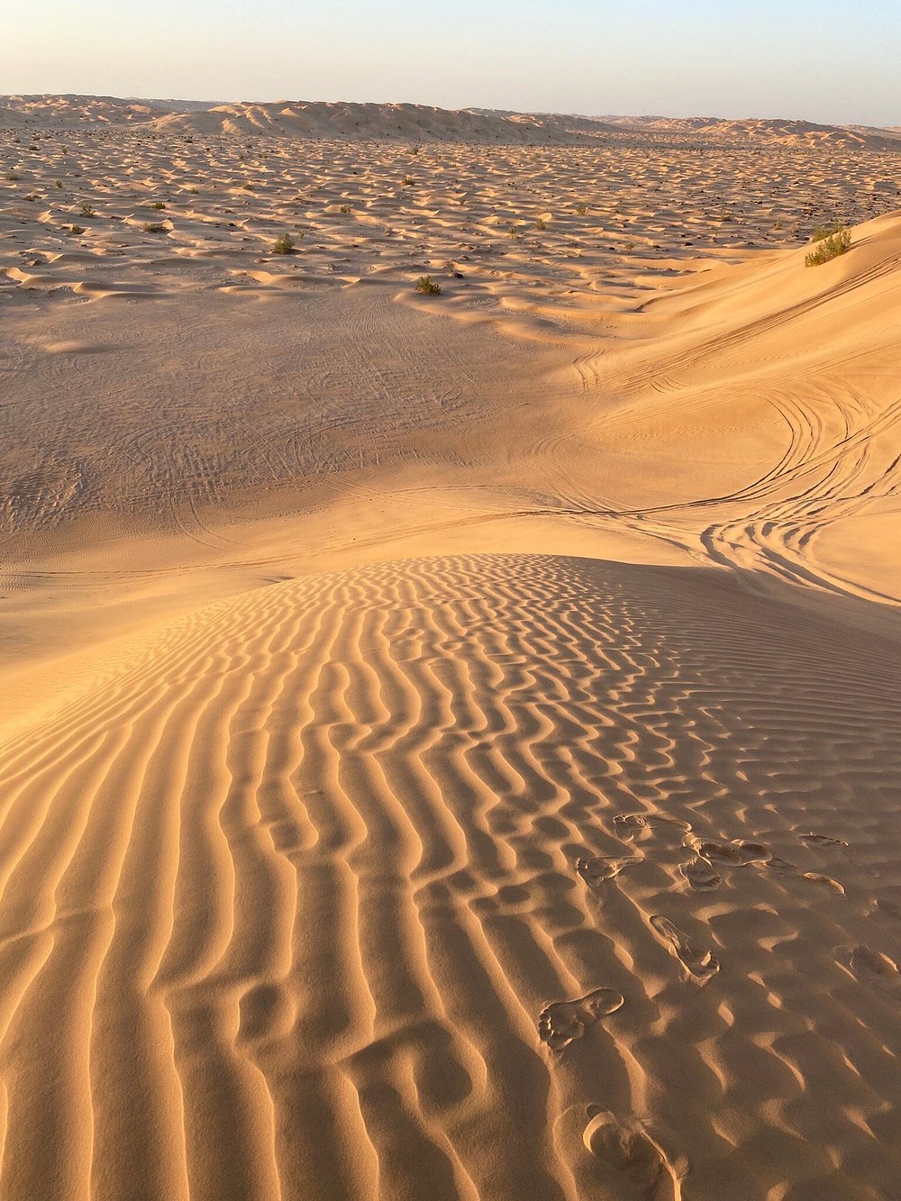 Salalah: Overnight Desert Camping Experience at Empty Quarter Rub al Khali