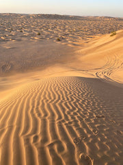 Salalah: Overnight Desert Camping Experience at Empty Quarter Rub al Khali