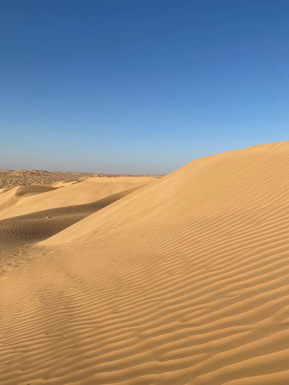 Salalah: Overnight Desert Camping Experience at Empty Quarter Rub al Khali