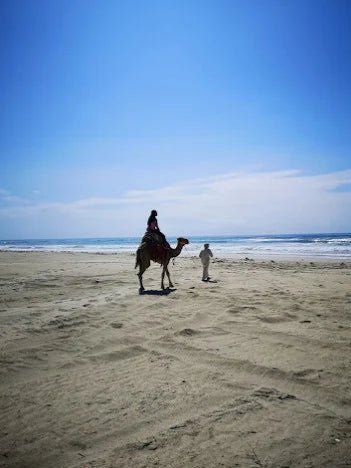 Salalah: Sunset Camel Ride Tour on the Beach