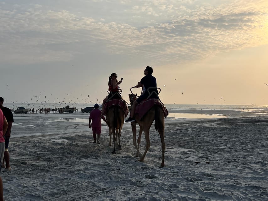 Salalah: Sunset Camel Ride Tour on the Beach