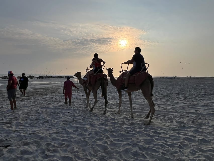 Salalah: Sunset Camel Ride Tour on the Beach