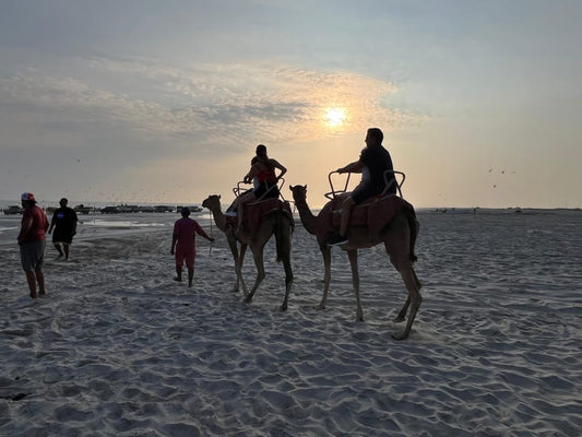 Salalah: Sunset Camel Ride Tour on the Beach