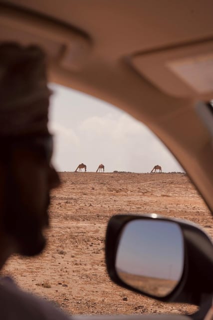 Salalah: West Coast Blowholes, Frankincense Trees, and Al Fazayah Beach Tour