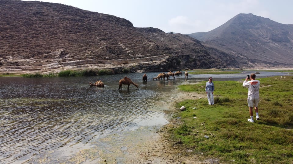 Salalah: West Coast Blowholes, Frankincense Trees, and Al Fazayah Beach Tour