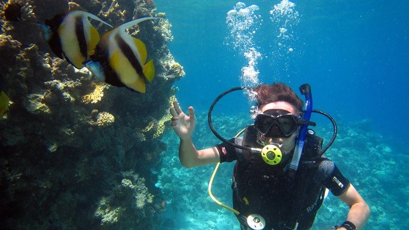 Sharm El Sheikh: 1 - Day Discover Scuba Diving Course