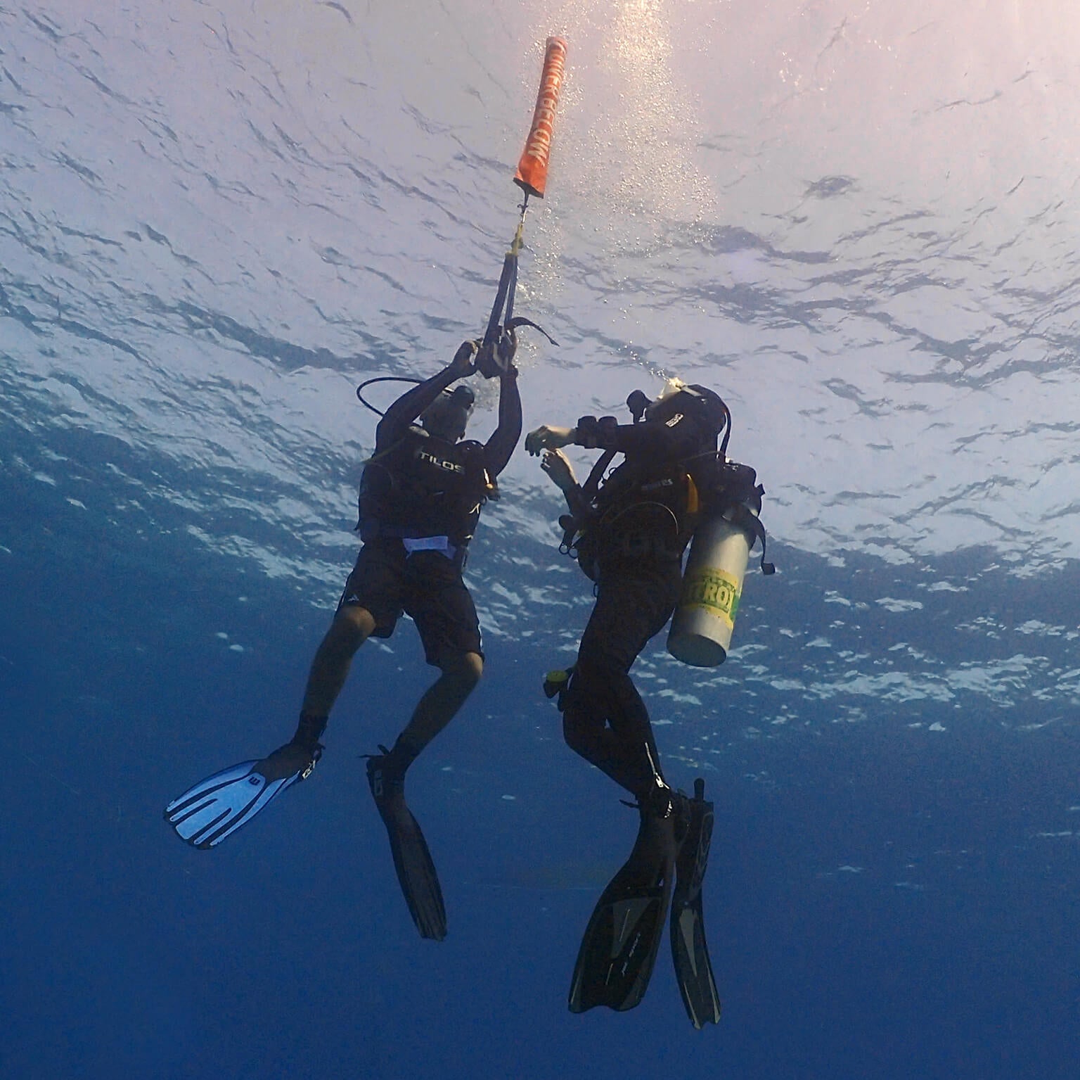 Sharm El Sheikh: 1 - Day Discover Scuba Diving Course