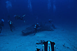 Sharm El Sheikh: 2 - Hours Night Dive in Ras Mohamed