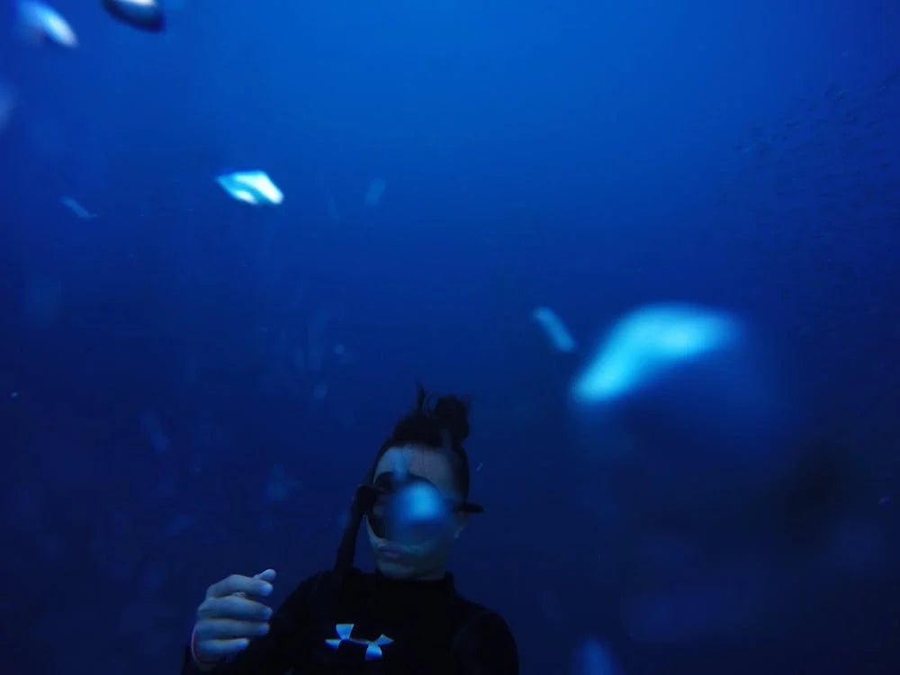 Sharm El Sheikh: 2 - Hours Night Dive in Ras Mohamed
