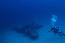 Sharm El Sheikh: 2 - Hours Night Dive in Ras Mohamed