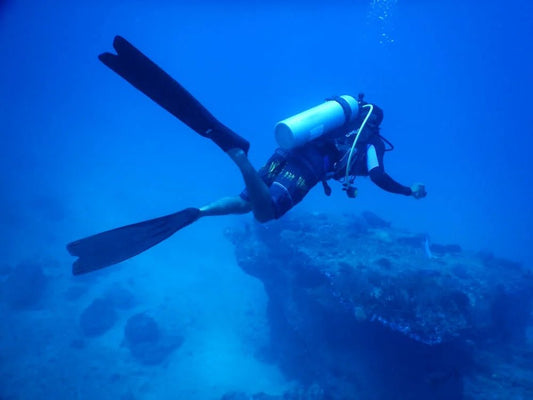 Sharm El Sheikh: 2 - Hours Night Dive in Ras Mohamed