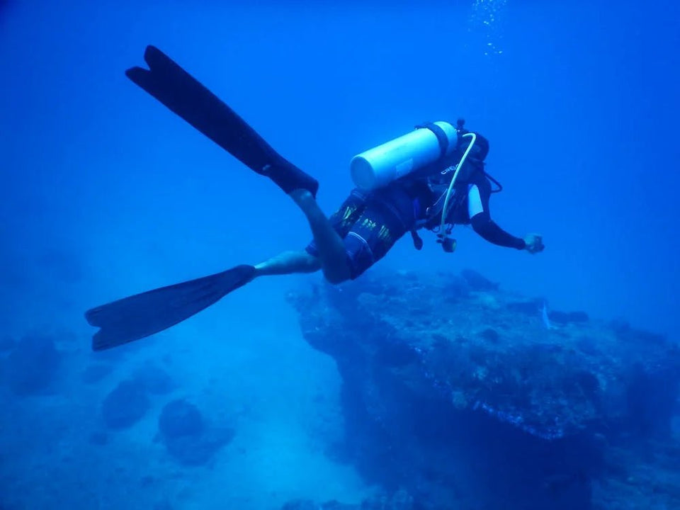 Sharm El Sheikh: 2 - Hours Night Dive in Ras Mohamed