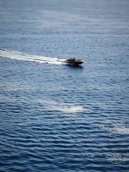 Sharm El Sheikh: 2 Hours Private Speed Boat To Tiran Island