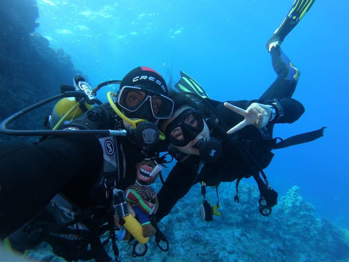 Sharm El Sheikh: 3 - Day Course for PADI Open Water Diver Certification