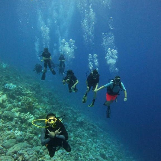Sharm El Sheikh: 3 - Day Course for PADI Open Water Diver Certification