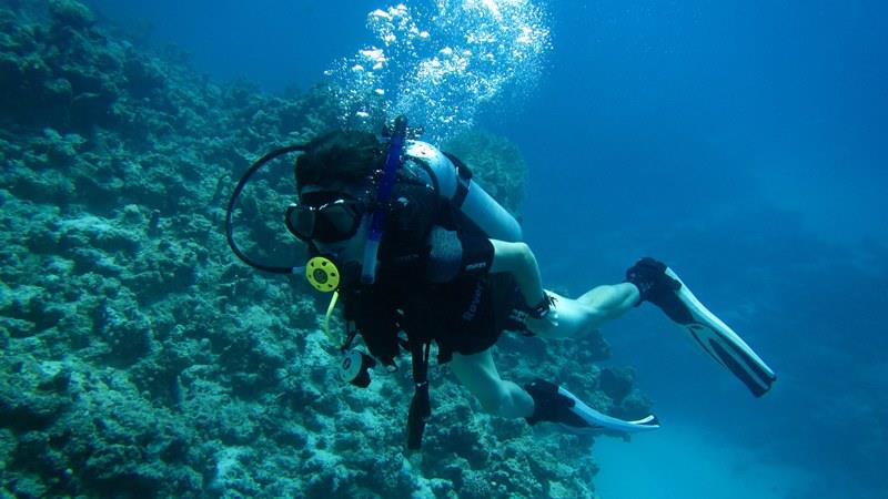 Sharm El Sheikh: 4 - Days Open Water Diving Course