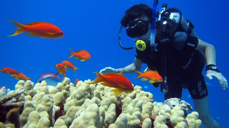 Sharm El Sheikh: 4 - Days Open Water Diving Course