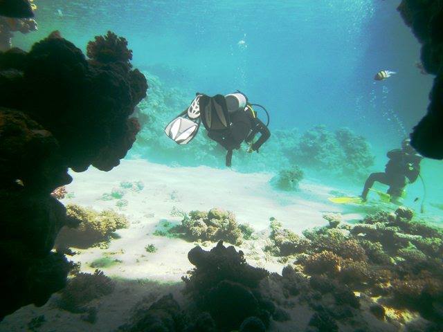 Sharm El Sheikh: 4 - Days Open Water Diving Course