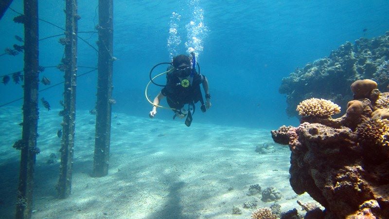 Sharm El Sheikh: 4 - Days Open Water Diving Course